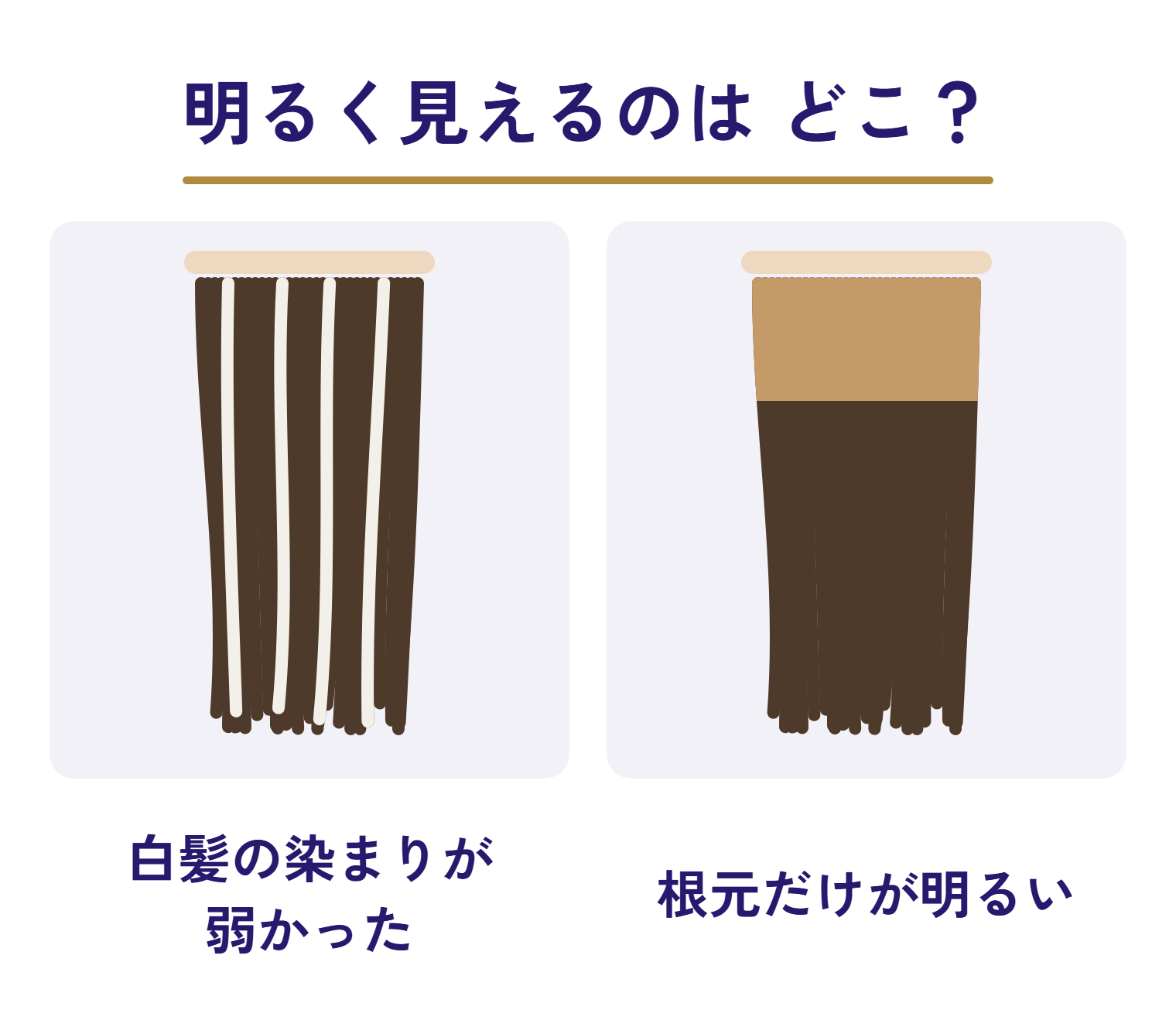 明るく見えるのはどこかを2つ並べた図。白髪の染まりが弱かった髪は、白いままの毛が根元から毛先まで筋で残る。根元だけが明るい髪は、根元の帯だけが明るい茶で、そこから下は暗いまま