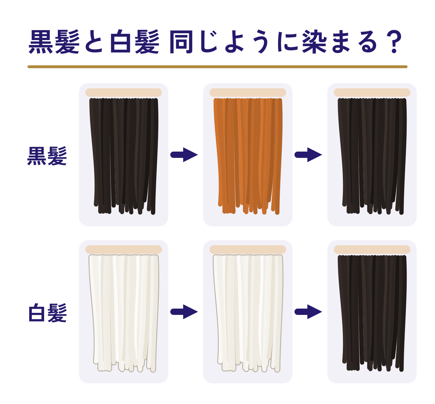 黒髪と白髪が染まっていくときの色を並べた図。黒髪は黒からオレンジになり、そのあと黒になる。白髪は白のままで、そのあと黒になる。