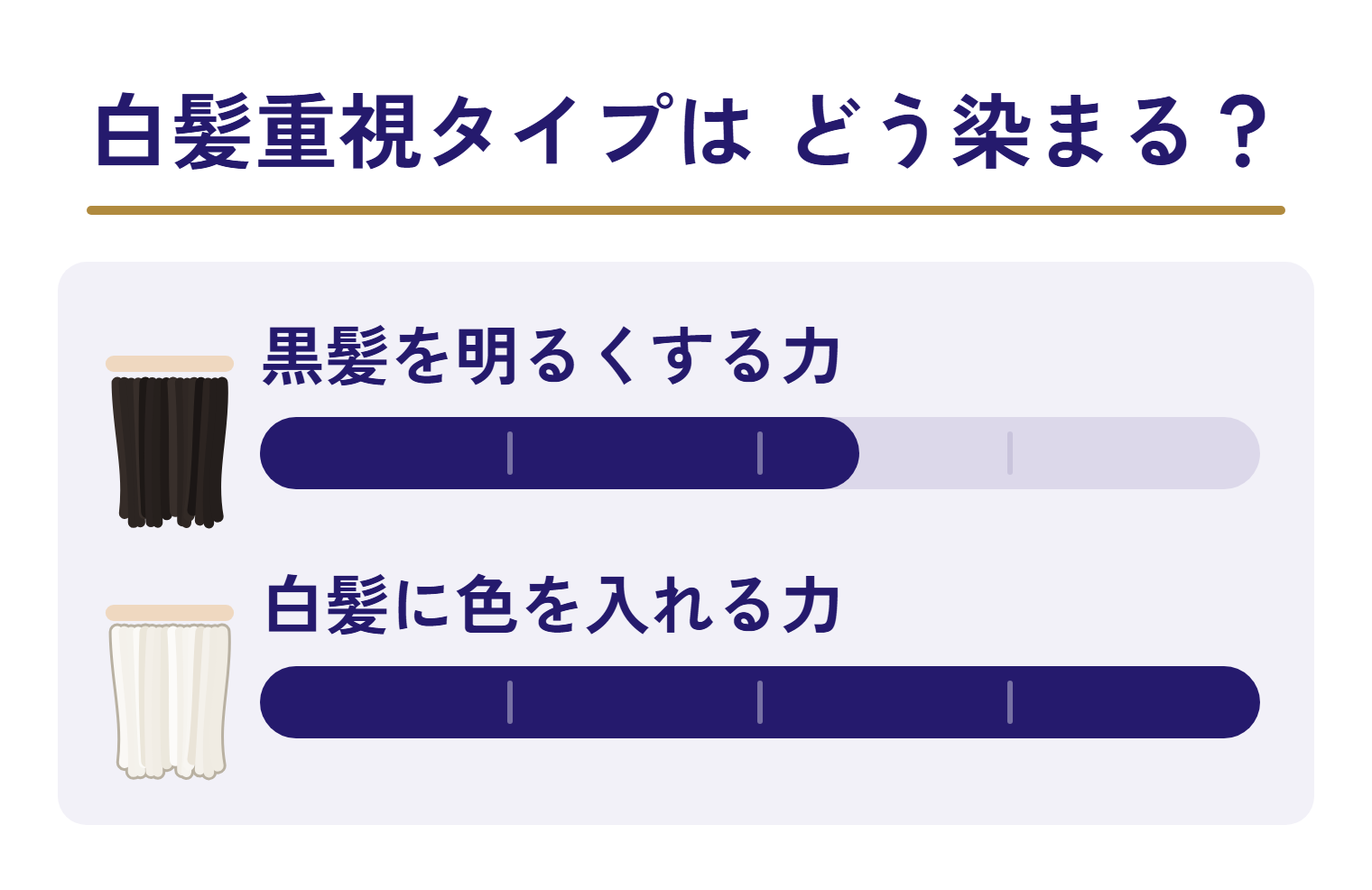 白髪重視タイプの2つの力を目盛りで並べた図。黒髪を明るくする力は目盛りの半分より少し長い。白髪に色を入れる力は目盛りの端まで届いている。
