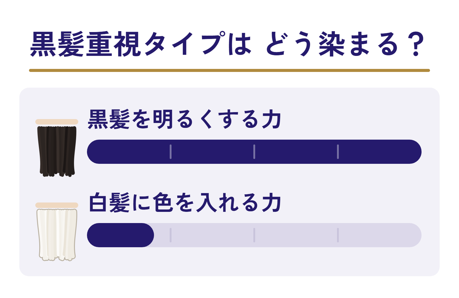 黒髪重視タイプの2つの力を目盛りで並べた図。黒髪を明るくする力は目盛りの端まで届いている。白髪に色を入れる力は目盛りの始まりから少しだけ伸びている。