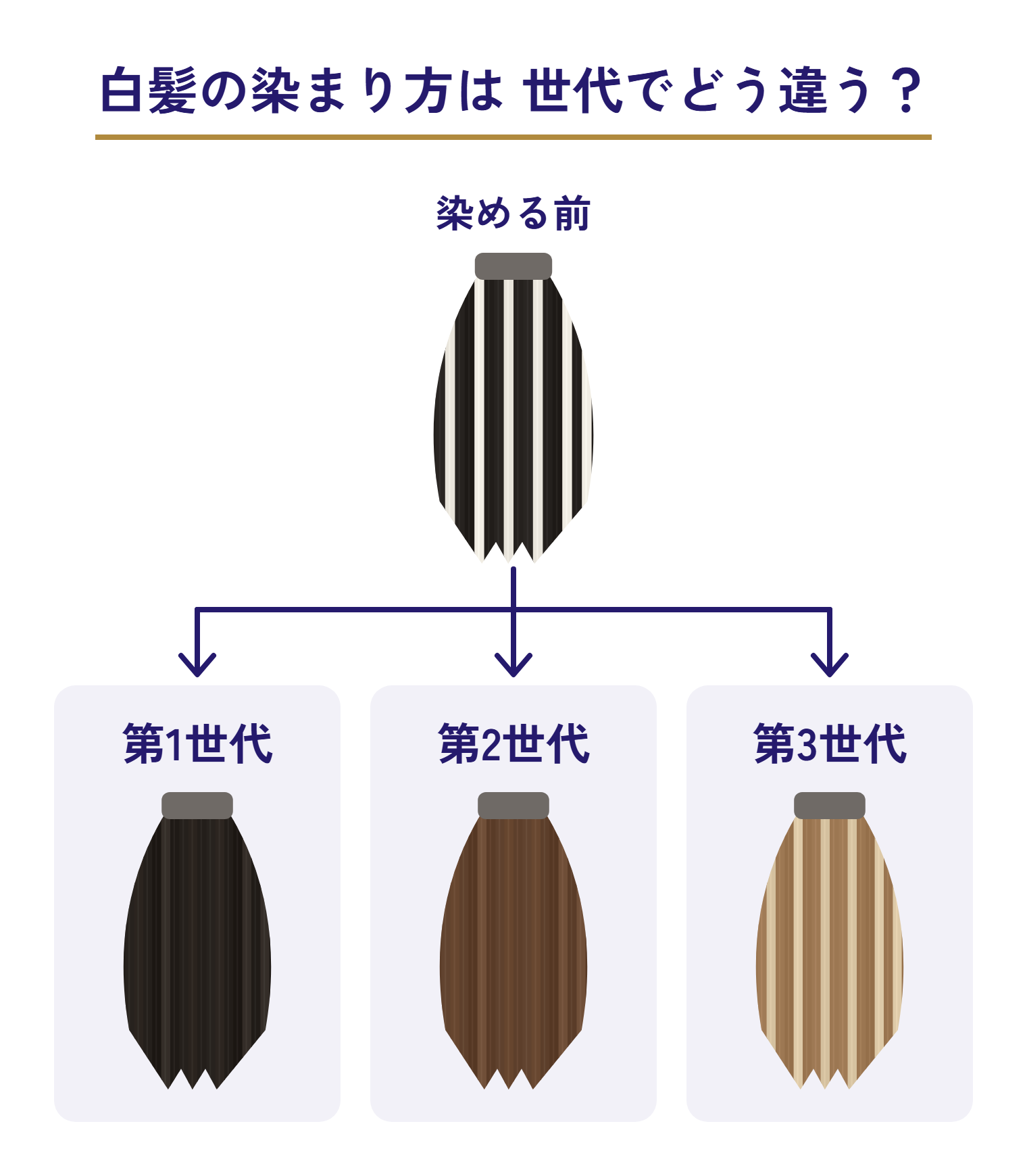 世代ごとの白髪の染まり方の違いの図。染める前は、黒髪と白髪がまじった毛束。第1世代は毛束全体が暗い色、第2世代は毛束全体が同じ茶色、第3世代は明るい茶色の中に白髪が明るい筋として見える