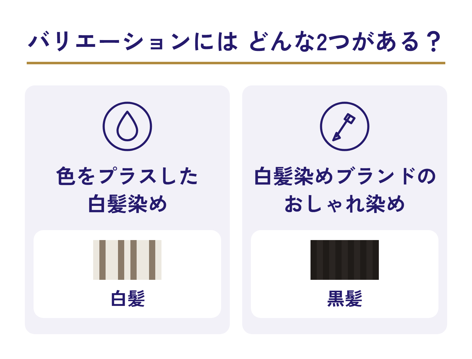 第3世代のバリエーションの2つの図。色をプラスした白髪染め（白髪の色見本）と、白髪染めブランドのおしゃれ染め（黒髪の色見本）