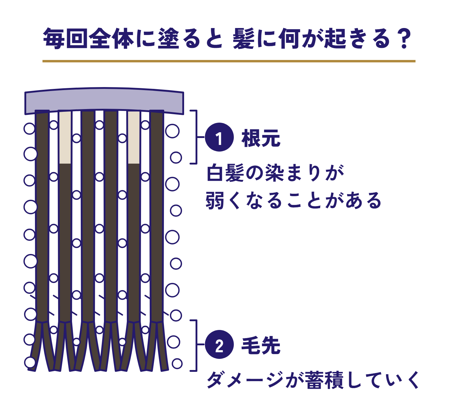 泡で毎回髪全体に塗ると、根元では白髪の染まりが弱くなることがあり、毛先には繰り返し染めることでダメージが蓄積していく